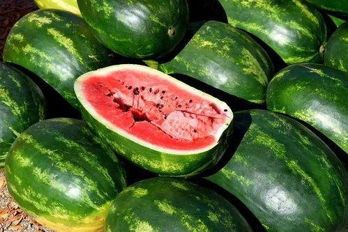 吃瓜视频素材下载免费观看,免费下载吃瓜视频，畅享无界限的娱乐时光  第2张