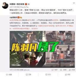 冤案爆料视频大全集播放,视频大全集深度解析