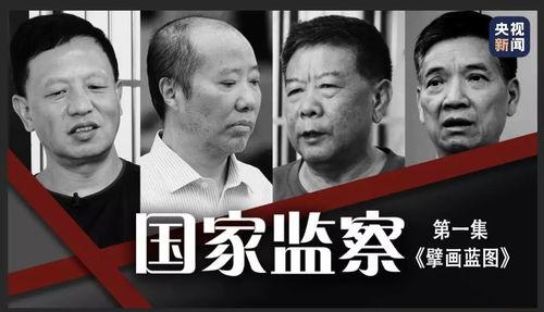 冤案爆料视频大全集播放,视频大全集深度解析  第3张