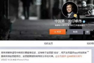 青枫工作室更新爆料视频,揭秘神秘项目，精彩内容抢先看！  第3张